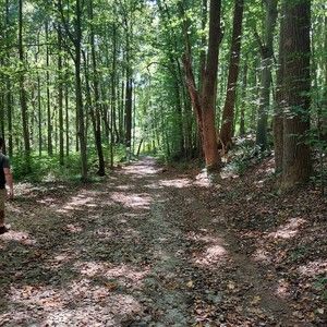 Meet your Posher, Gina